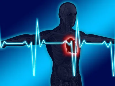 Perder Grasa: ¿Qué es mejor, hacer cardio o pesas?